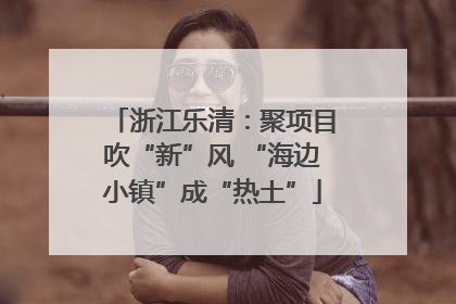 浙江乐清：聚项目吹“新”风 “海边小镇”成“热土”